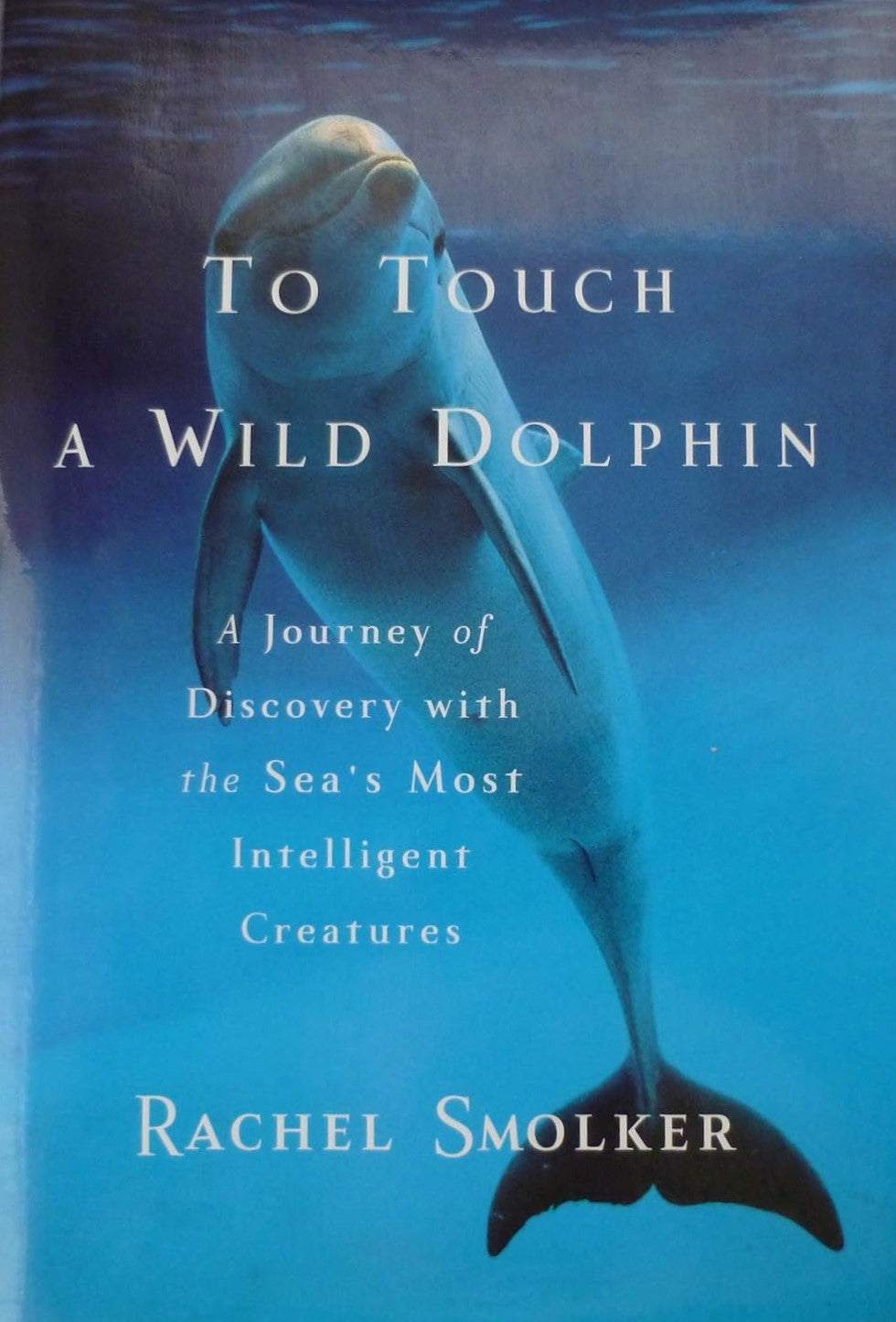 Livre To Touch a Wild Dolphin - Rachel Smolker (Livre d'occasion) - ISBN 038549176X