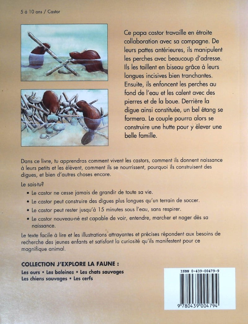 Livre Le castor - Deborah Hodge (Livre d'occasion) - ISBN 0439004799
