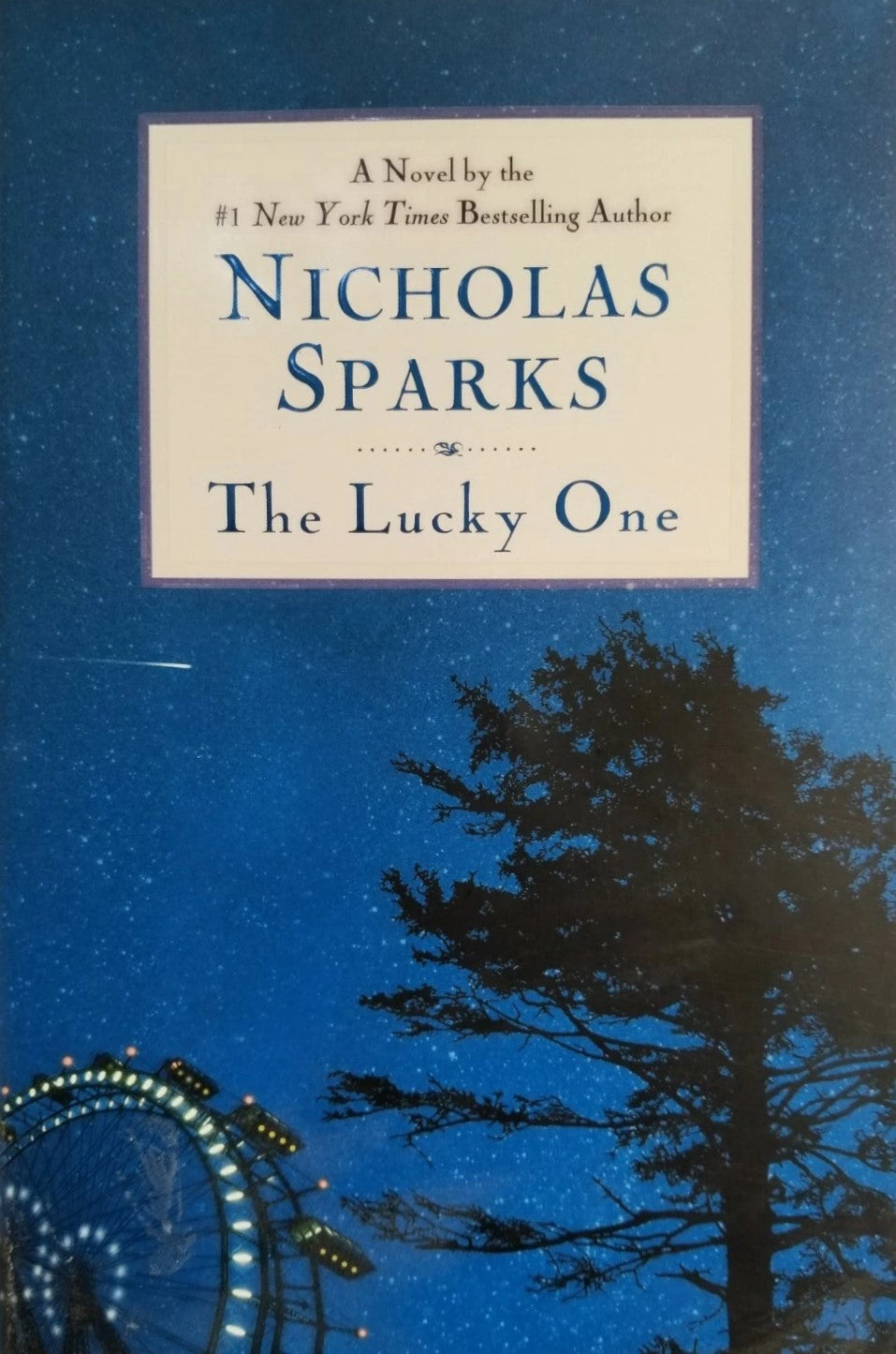 Livre The lucky one - Nicholas Sparks (Livre d'occasion) - ISBN 0446579939