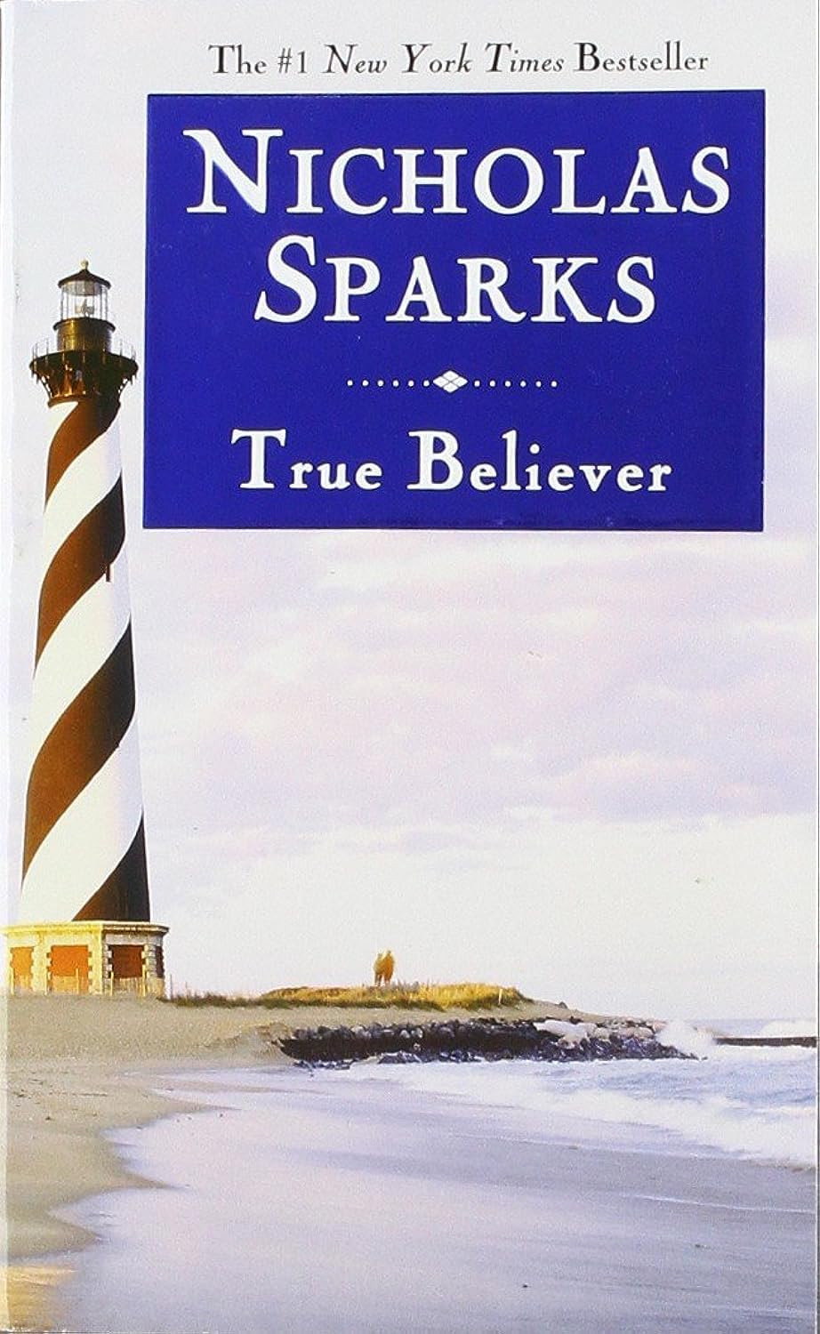 Livre True Beleiver - Nicholas Sparks (Livre d'occasion) - ISBN 0446618152
