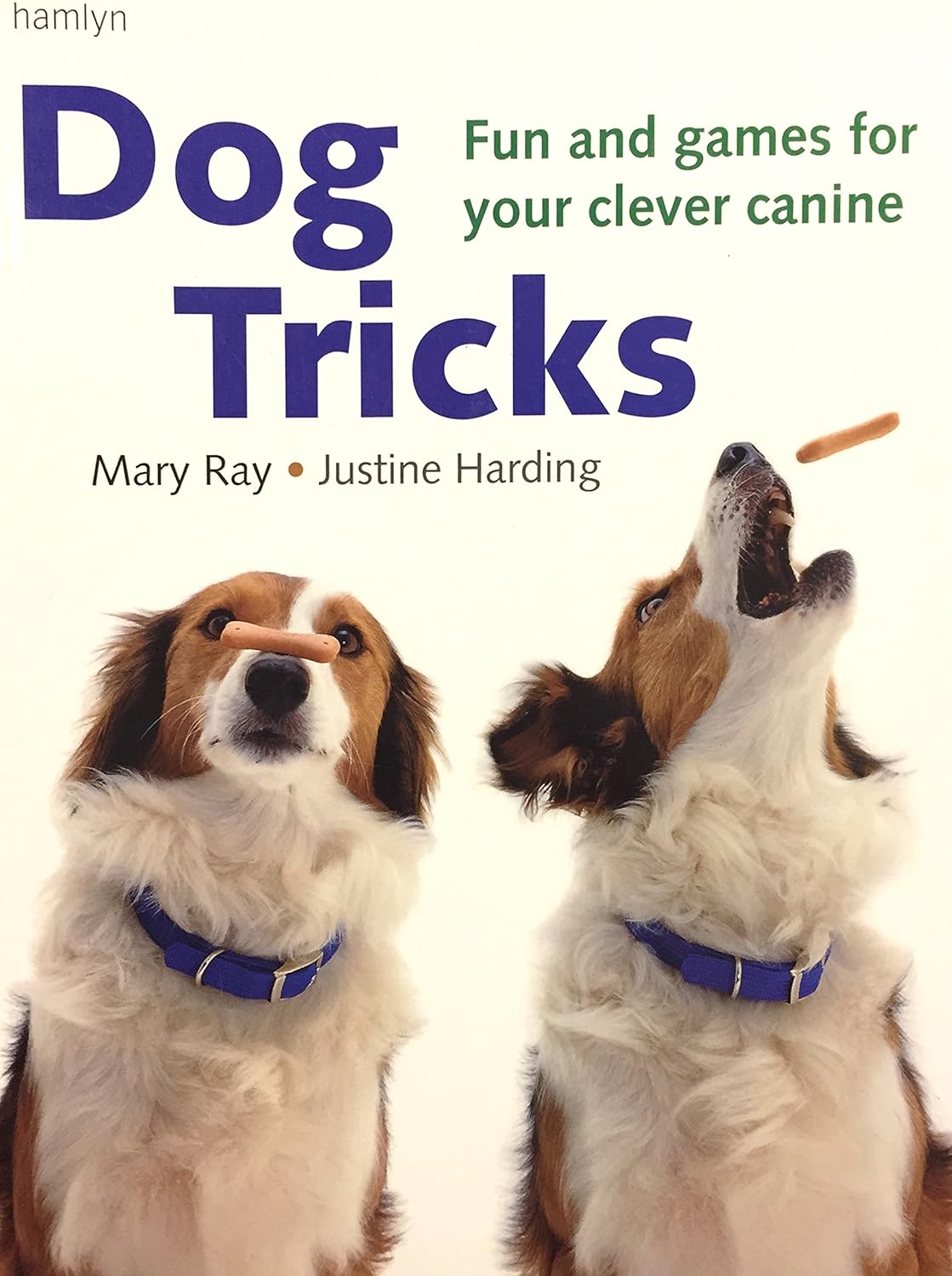 Livre Dog Tricks : Fun and game for your clever canine - Mary Ray (Livre d'occasion) - ISBN 06005...