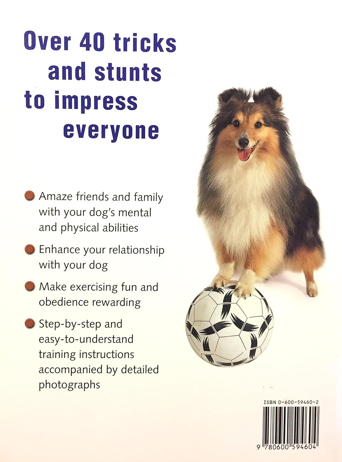 Livre Dog Tricks : Fun and game for your clever canine - Mary Ray (Livre d'occasion) - ISBN 06005...