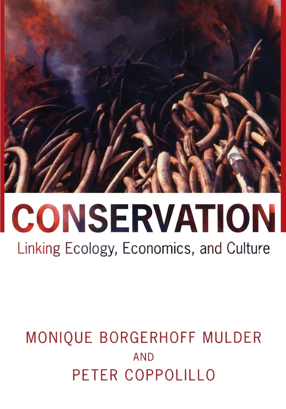 Livre Conservation: Linking Ecology, Economics, and Culture - Monique Borgerhoff Mulder (Livre d'...