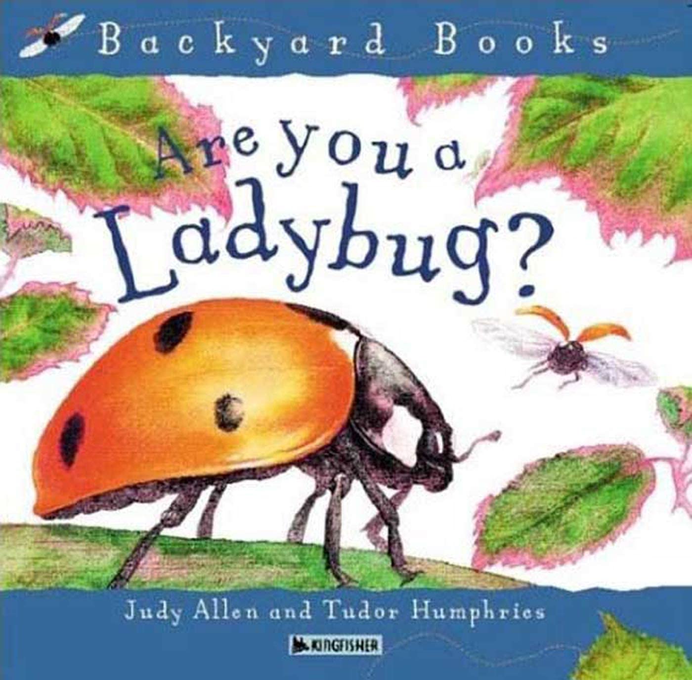 Livre Are you a ladybug? - Judy Allen (Livre d'occasion)