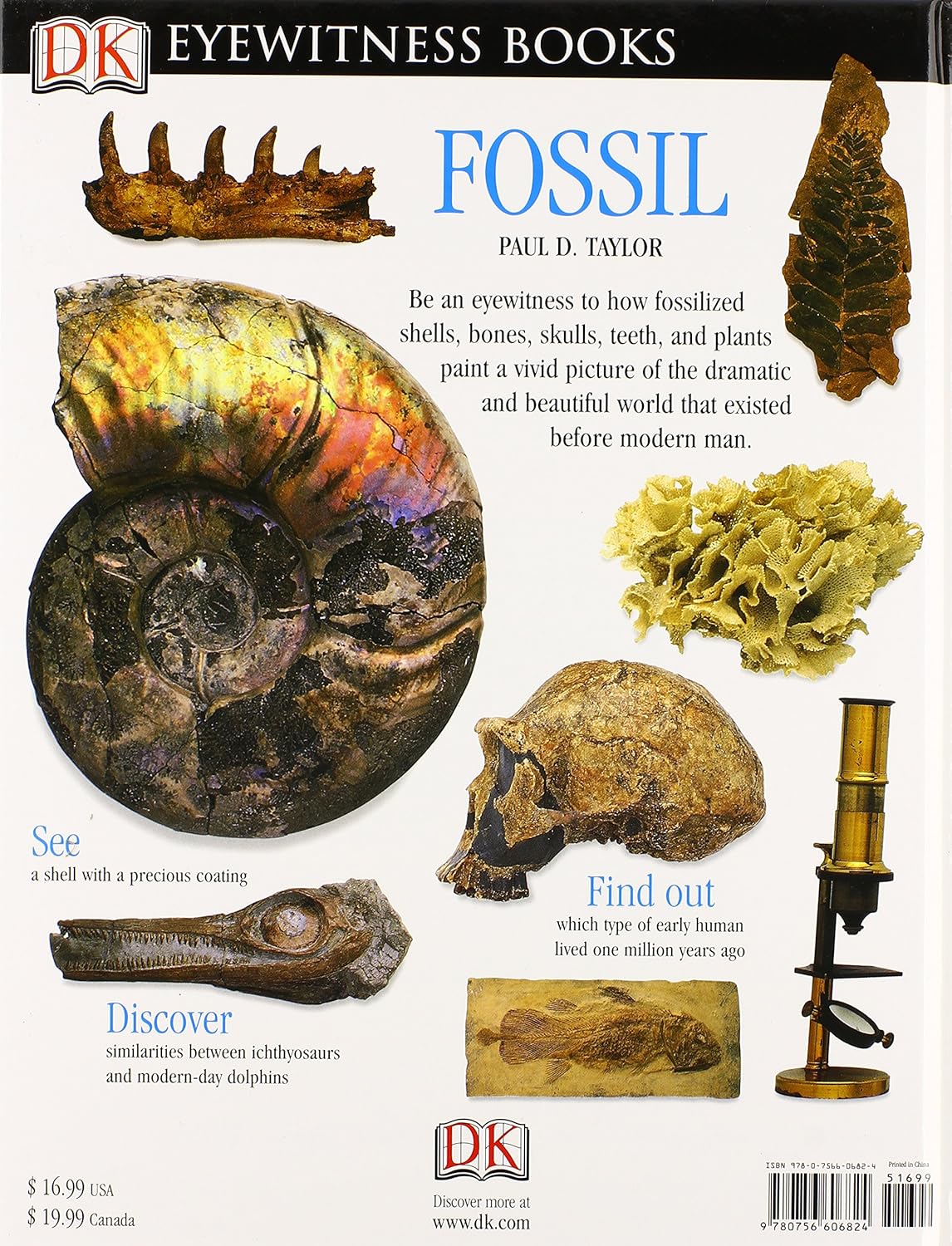 DK Eyewitness Books : Fossil