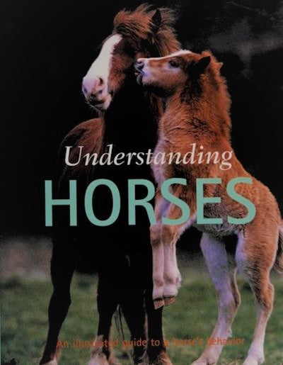 Livre Understanding Horses - Don Harper (Livre d'occasion) - ISBN 1405407344