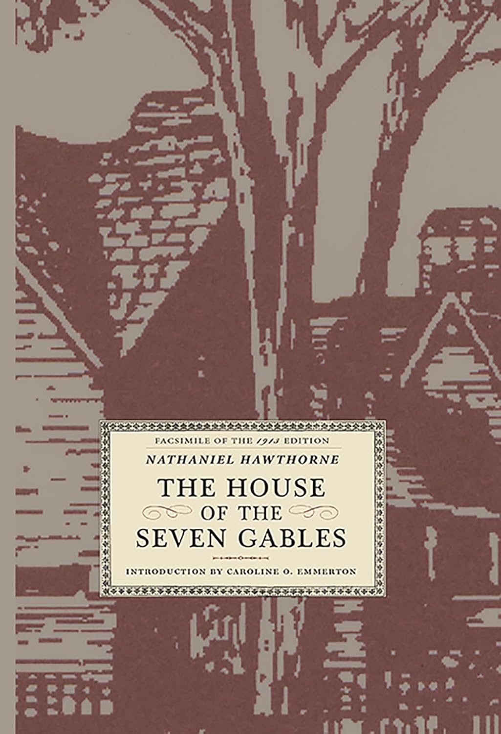 Livre The House of the Seven Gables - Nathaniel Hawthorne (Livre neuf) - ISBN 1429091045