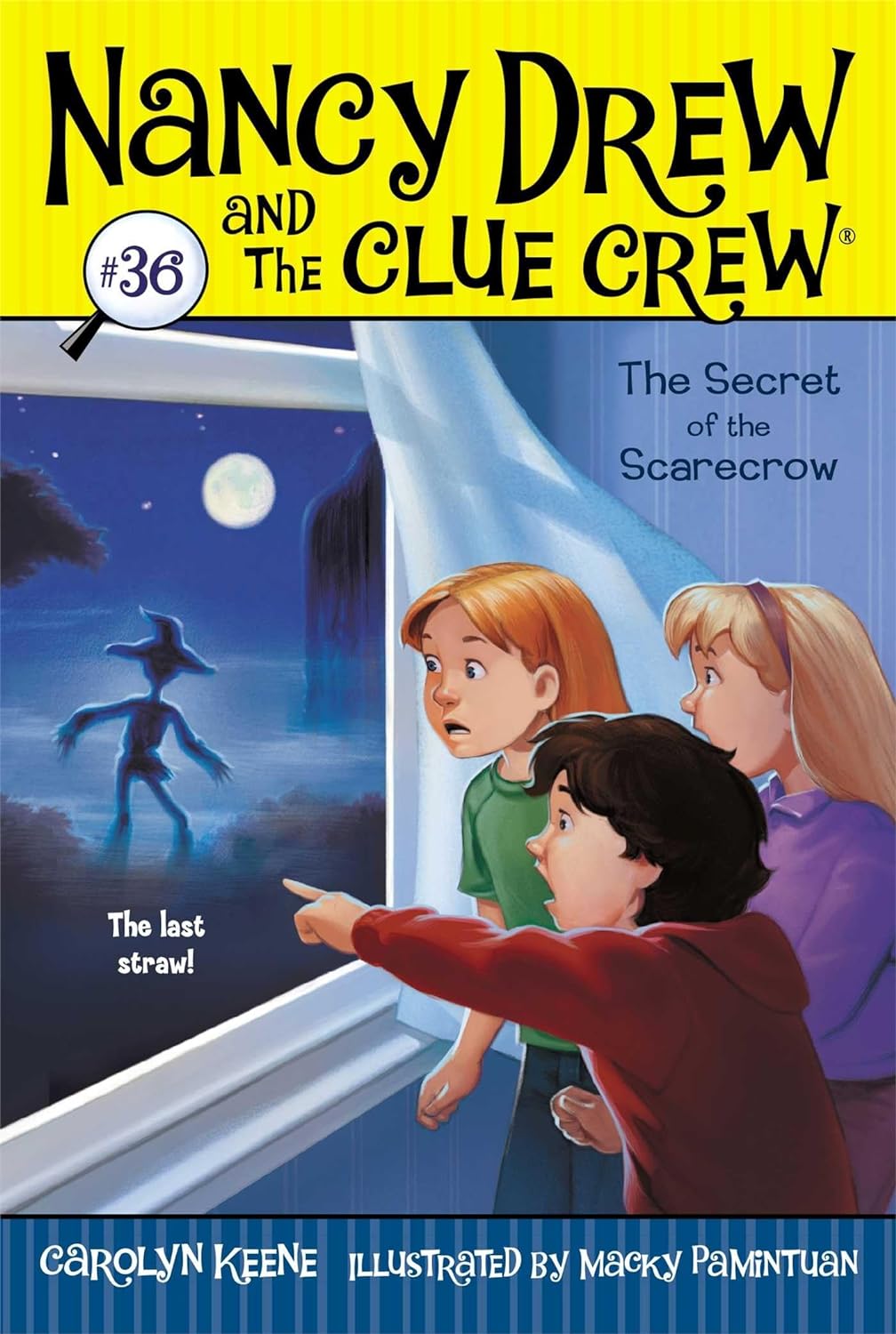 Livre The secret of the scarecrow - Carolyn Keene (Livre d'occasion)