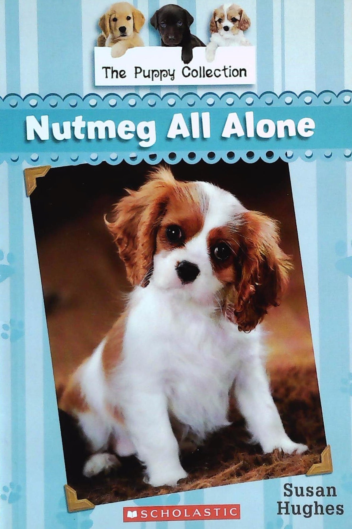 Livre Nutmeg All Alone - Susan Hughes (Livre d'occasion)