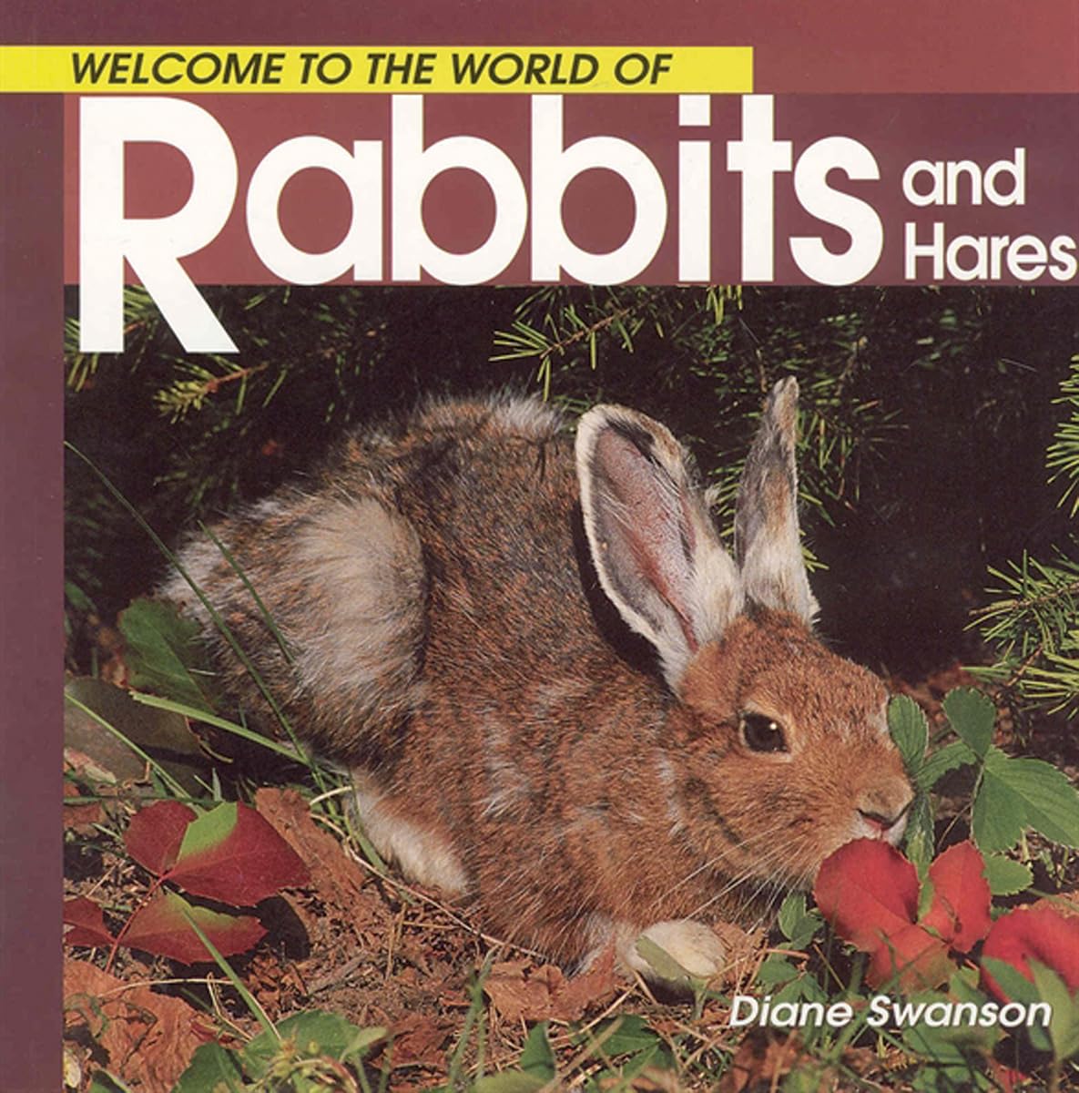 Welcome to the World of Rabbits and Hares - Diane Swanson