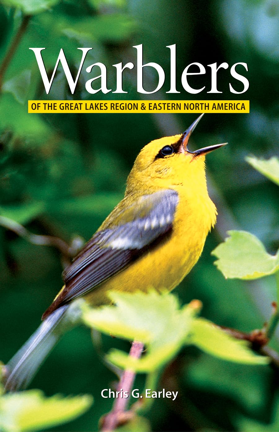 Livre Warblers of the Great Lakes Region & Eastern North America - Chris Earley (Livre d'occasion...