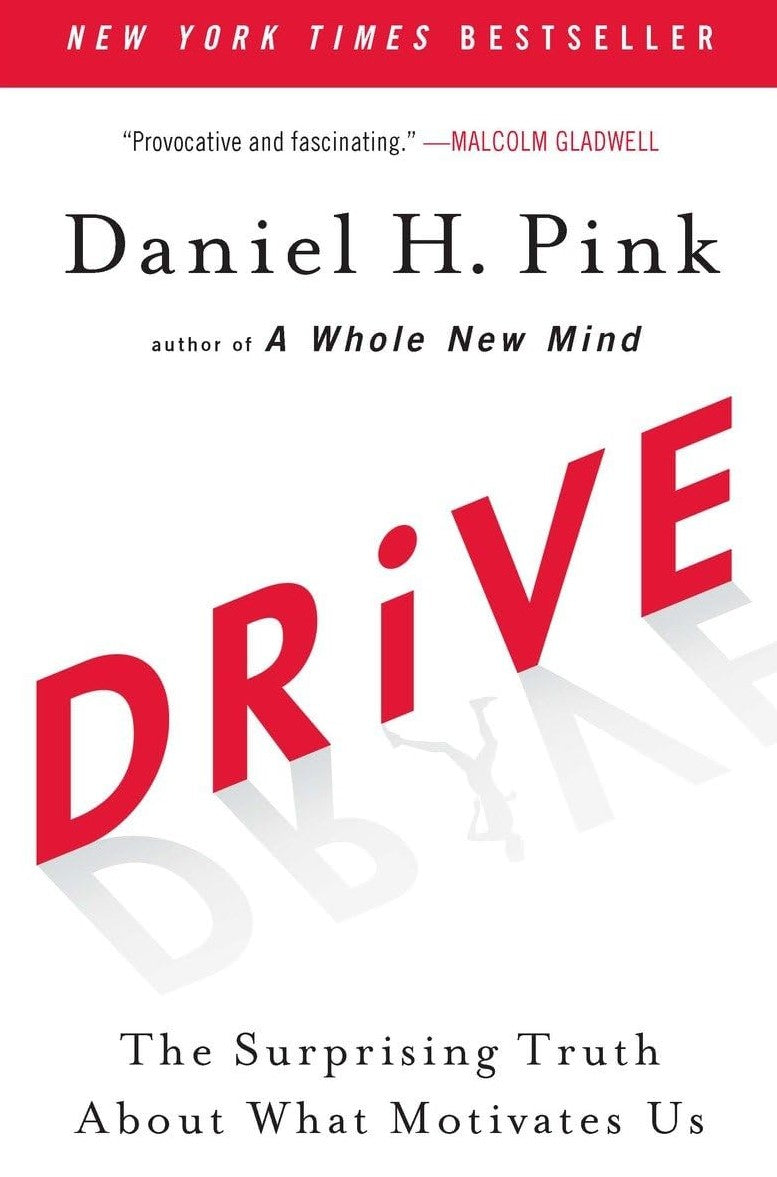 Livre Drive : The Surprising Truth About What Motivates Us - Daniel H. Pink (Livre d'occasion)