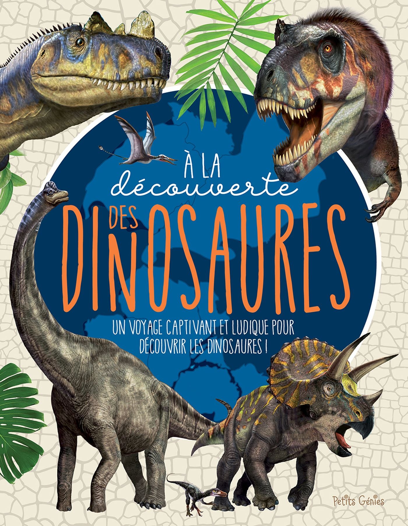 Livre À la découverte des dinosaures (Livre d'occasion)