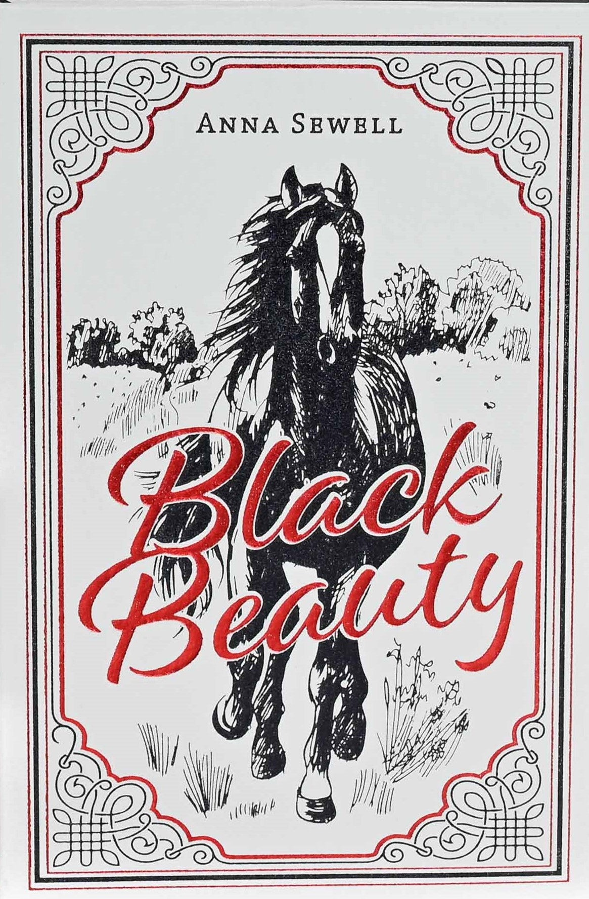 Paper Mill Classics : Black Beauty - Anna Sewell