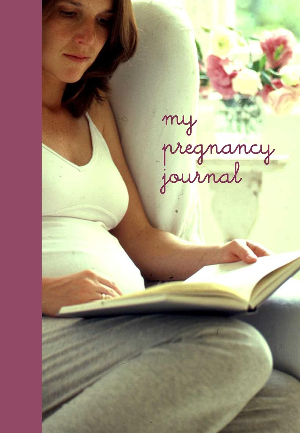 Livre My Pregnancy Journal (Livre d'occasion)