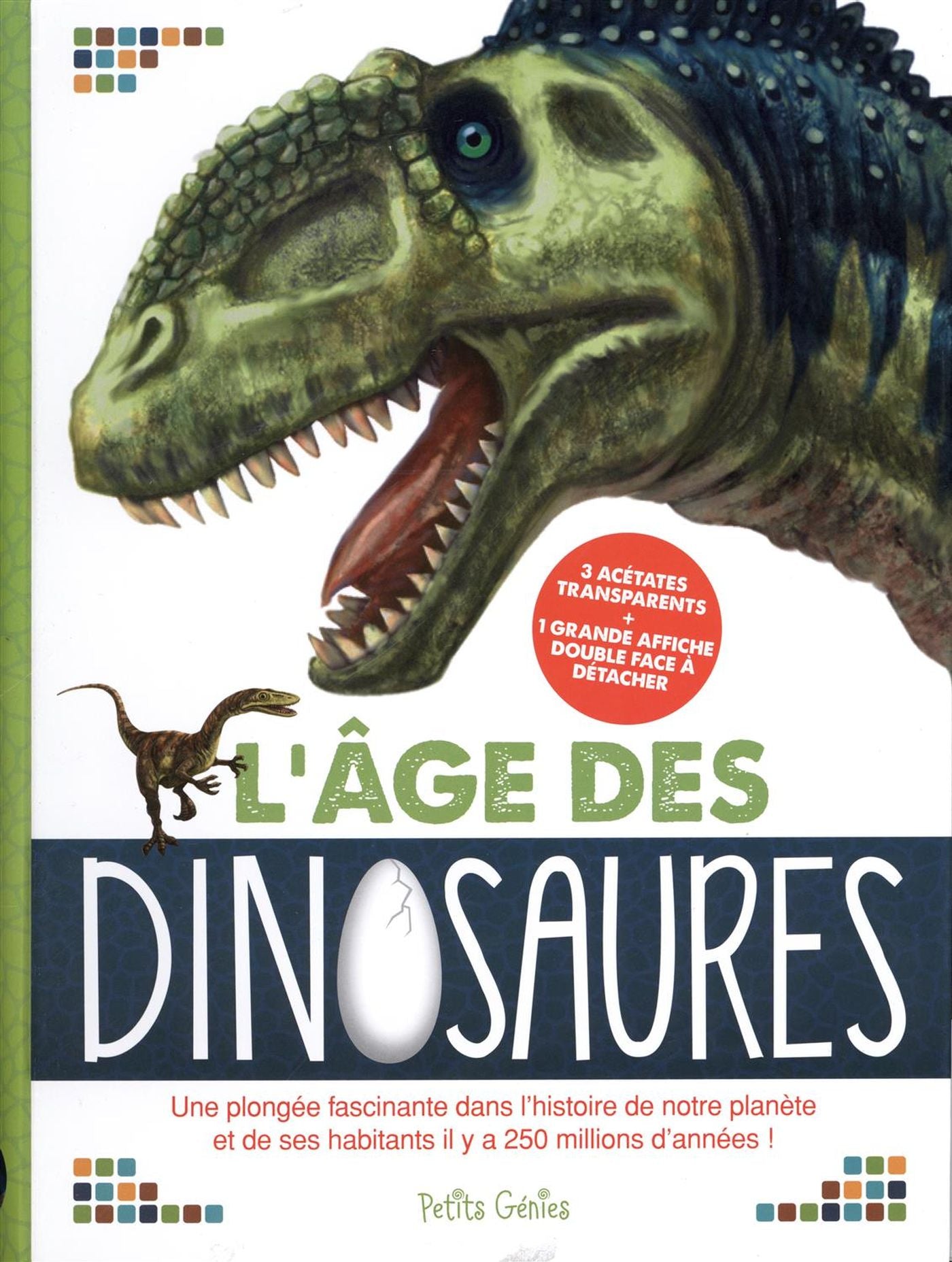 Livre L'âge des dinosaures - Maud Brougère (Livre d'occasion) - ISBN 1988142490