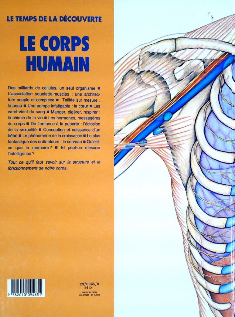 Le temps de la découverte : Le corps humain