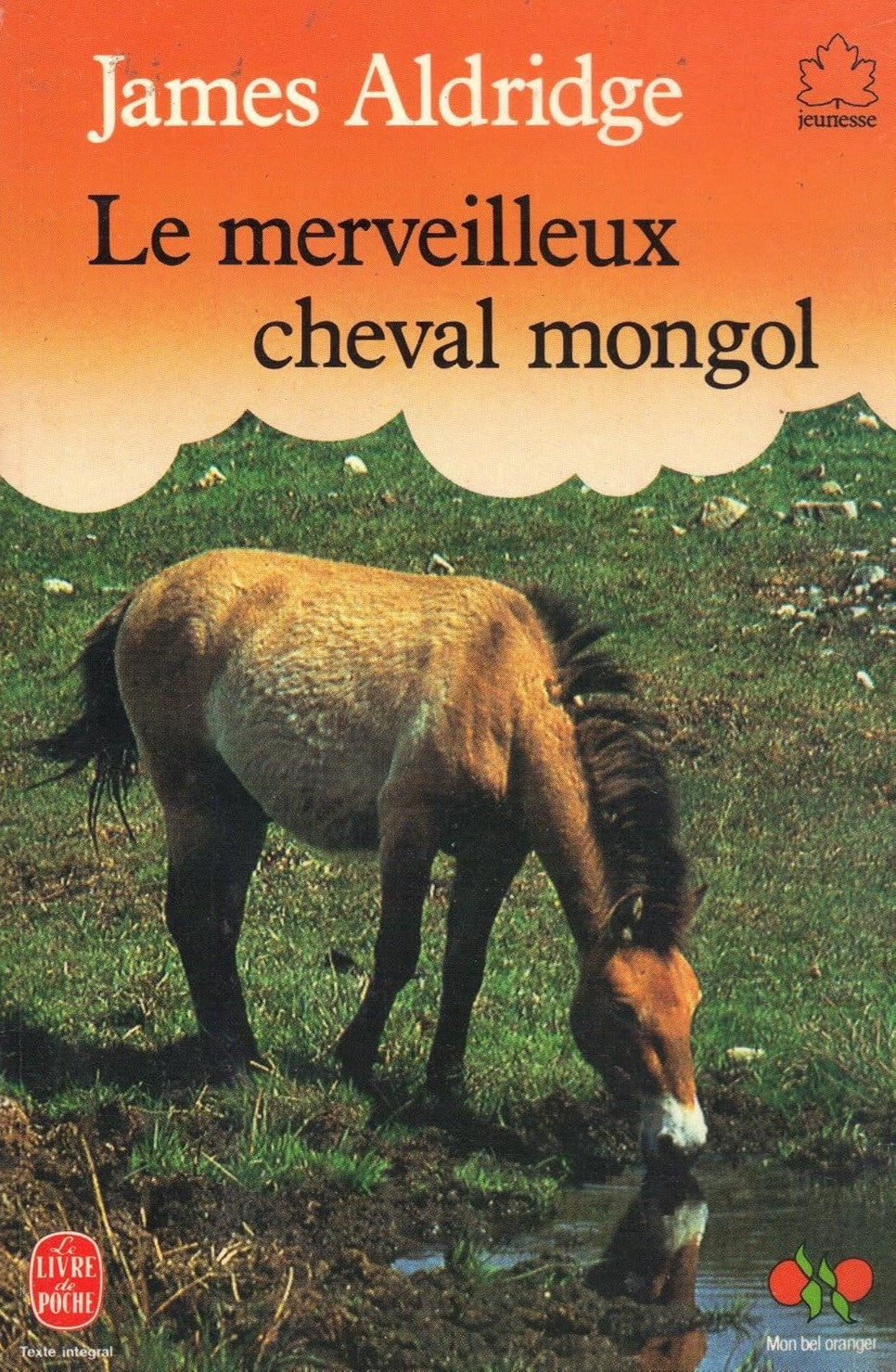 Livre Le merveilleux cheval mongol - James Aldridge (Livre d'occasion)