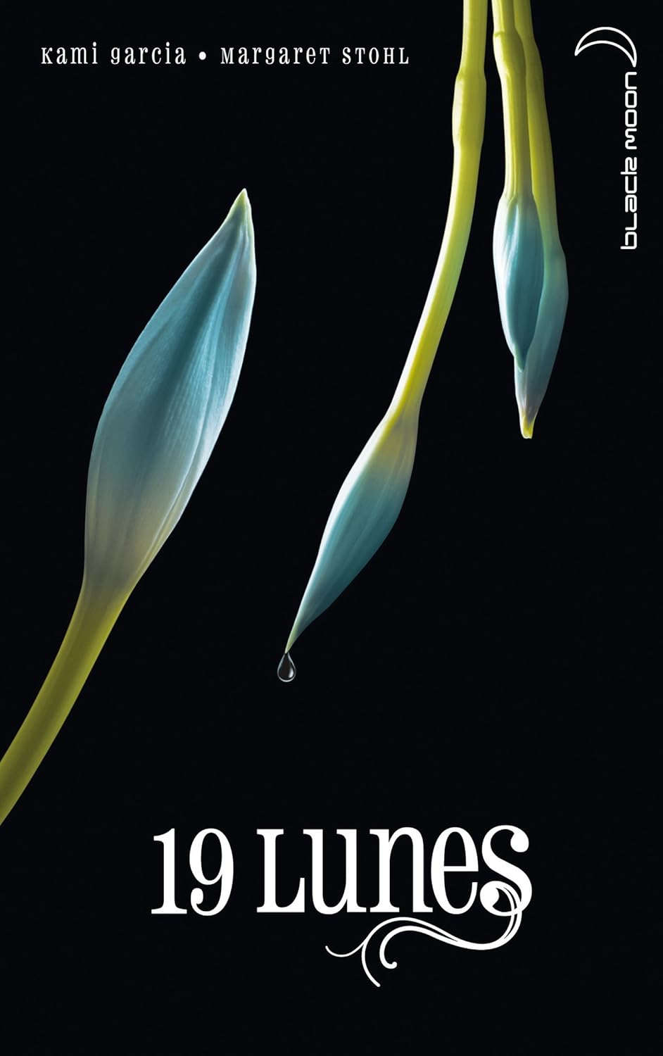 Livre 19 Lunes (Kami Garcia, Margaret Stohl) (Livre d'occasion) - ISBN 201202355X