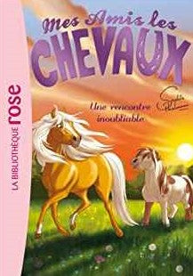 Mes amis les chevaux # 6 : Une rencontre inoubliable - Hachette Livre