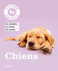 Mini Guide Hachette : Chiens : Les connaître, les choisir, en prendre soin - Katharina Schlegl-Kofler