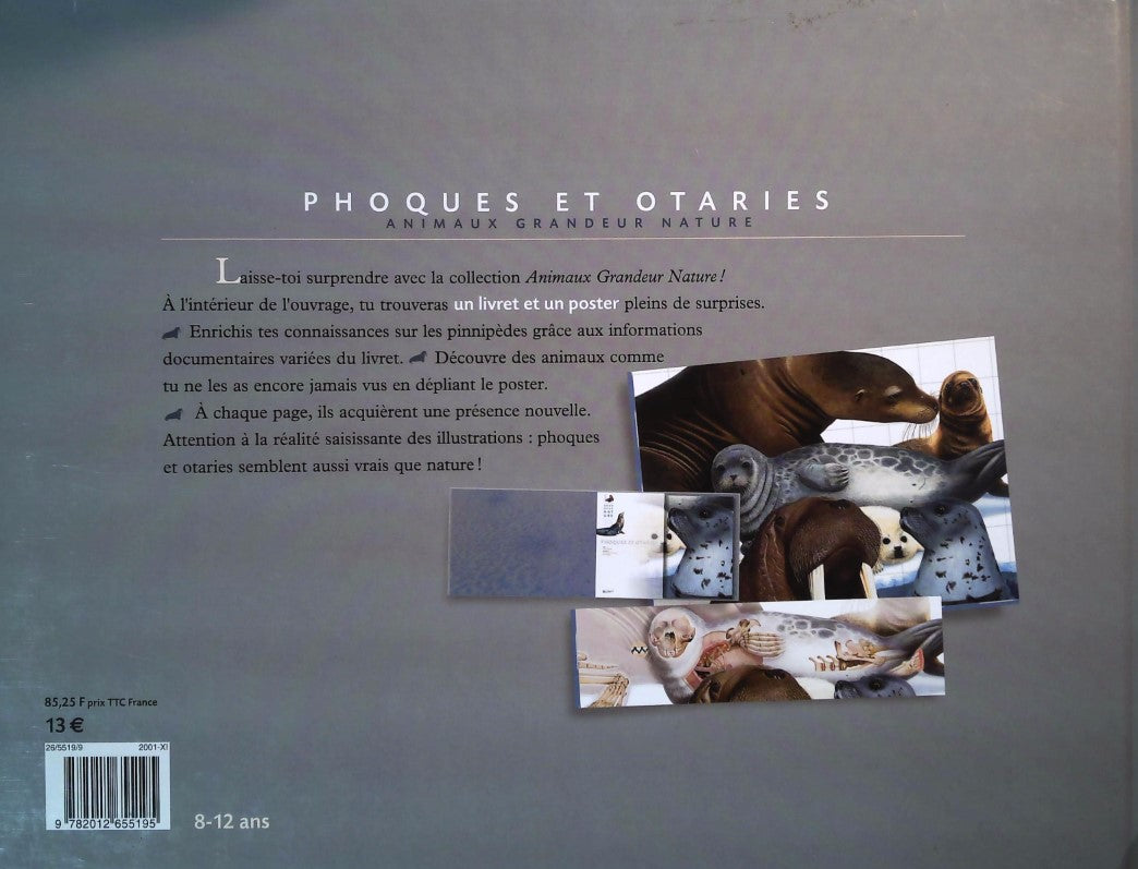 Phoques et otaries (Marc Giraud)
