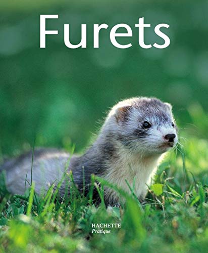 Furet