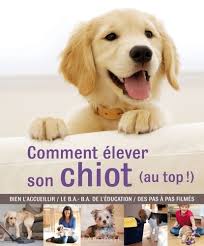 Livre Comment élever son chiot (au top !) - Gwen Bailey (Livre d'occasion) - ISBN 2035871549