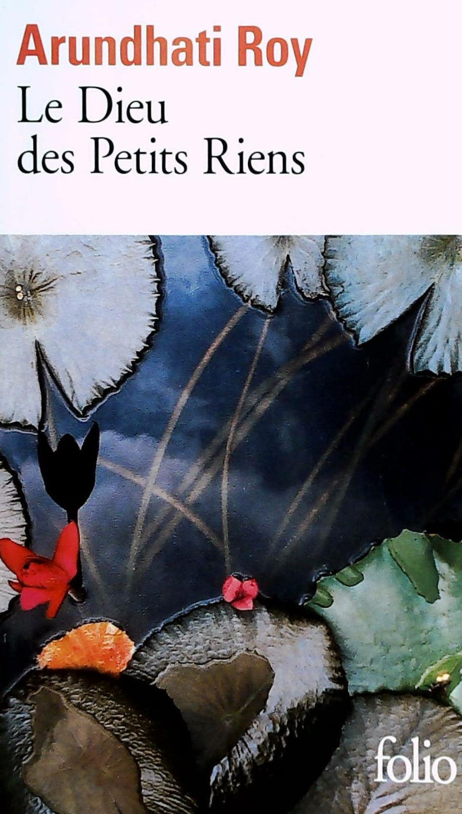 Livre Le dieu des petits rien - Arundhati Roy (Livre d'occasion)