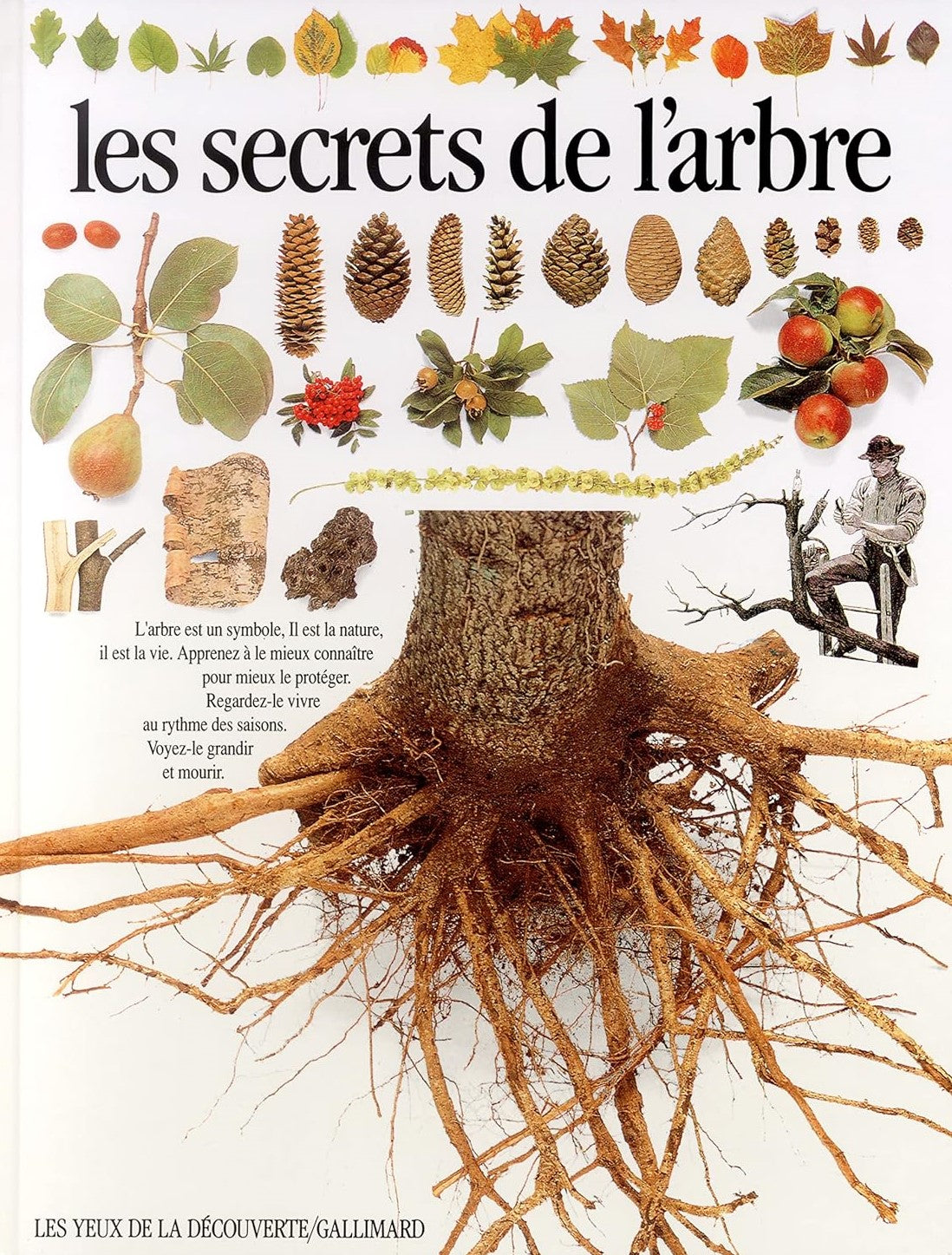 Les yeux de la découverte # 5 : Les secrets de l'arbre - David Burnie