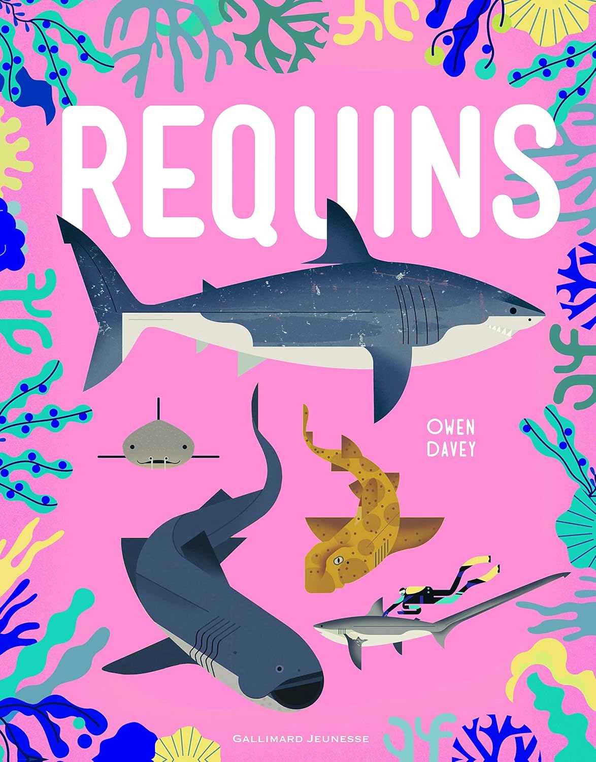 Requins - Owen Davey