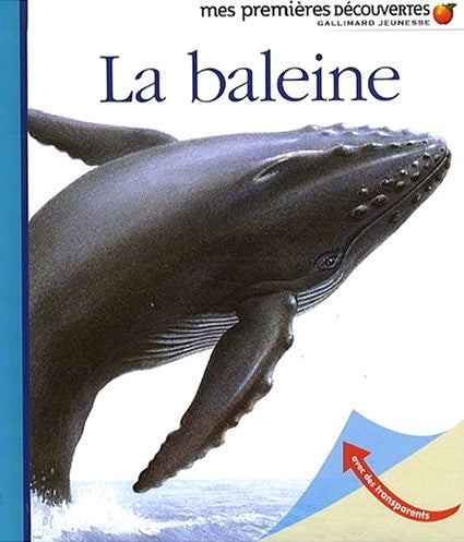 Mes premières découvertes : La baleine