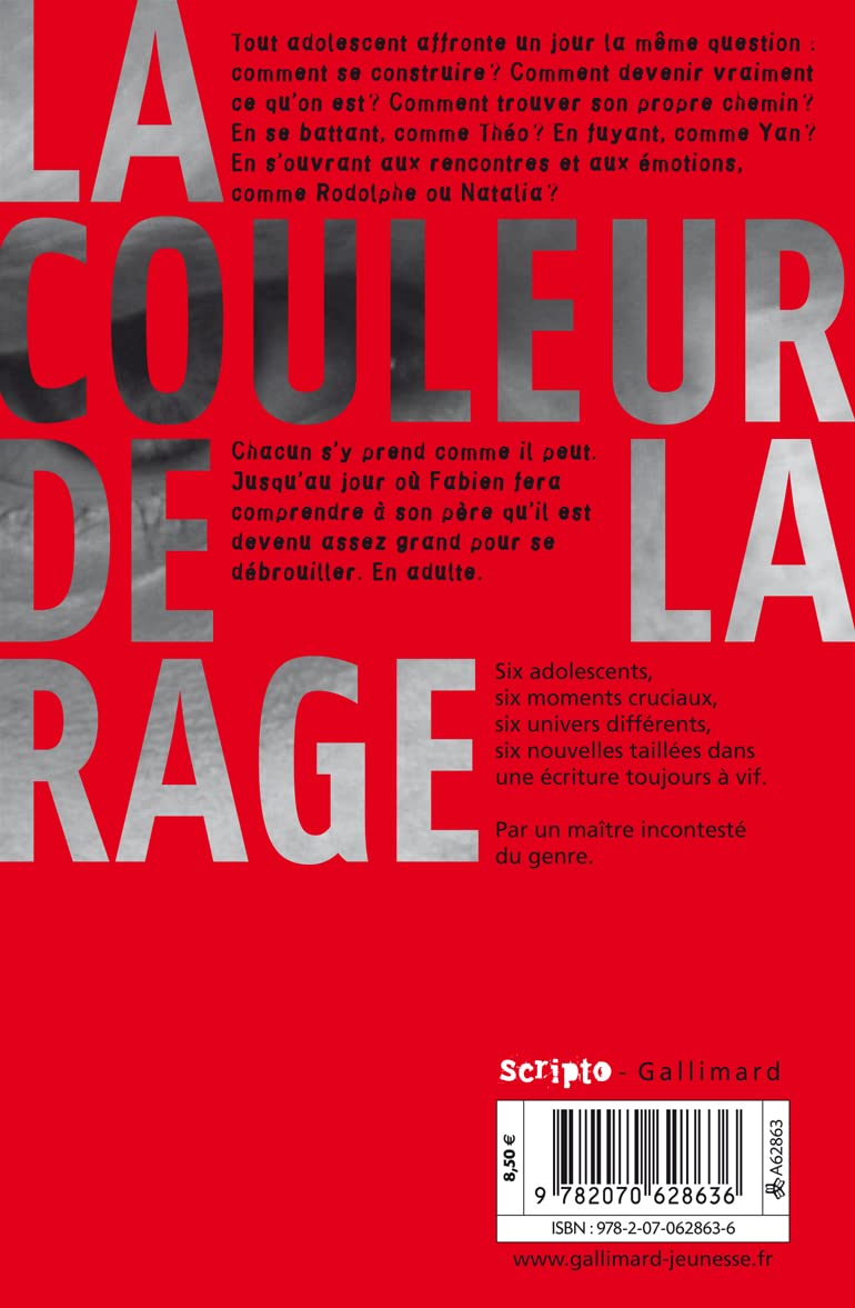 Livre La couleur de la rage - Jean-Noël Blanc (Livre d'occasion) - ISBN 2070628639
