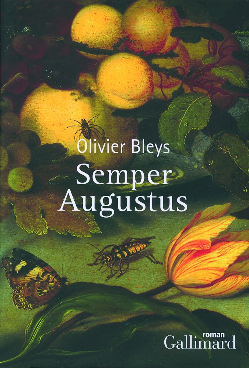 Livre Semper Augustus - Olivier Bleys (Livre d'occasion)