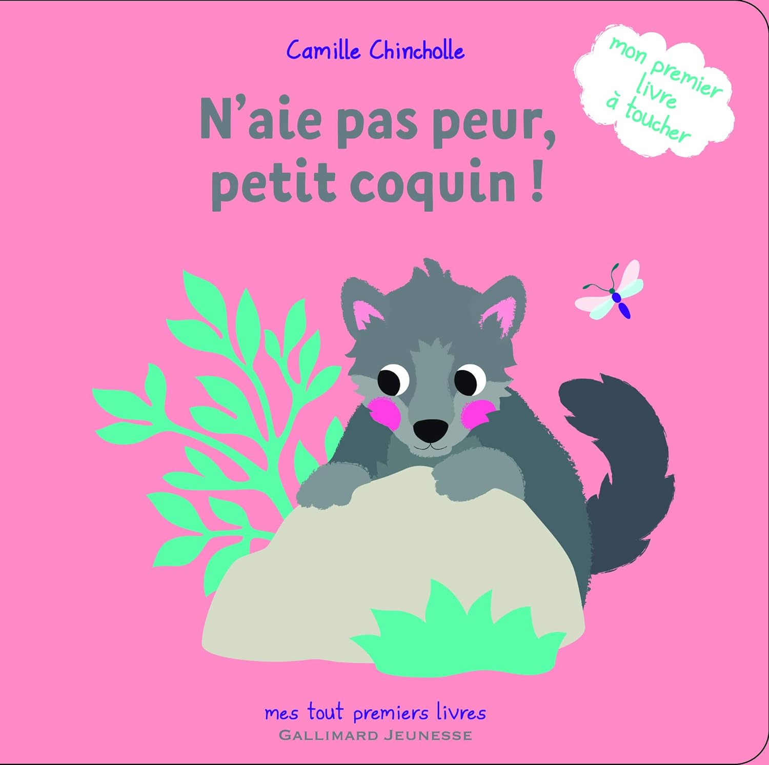 N'aie pas peur, petit coquin! - Camille Chincholle