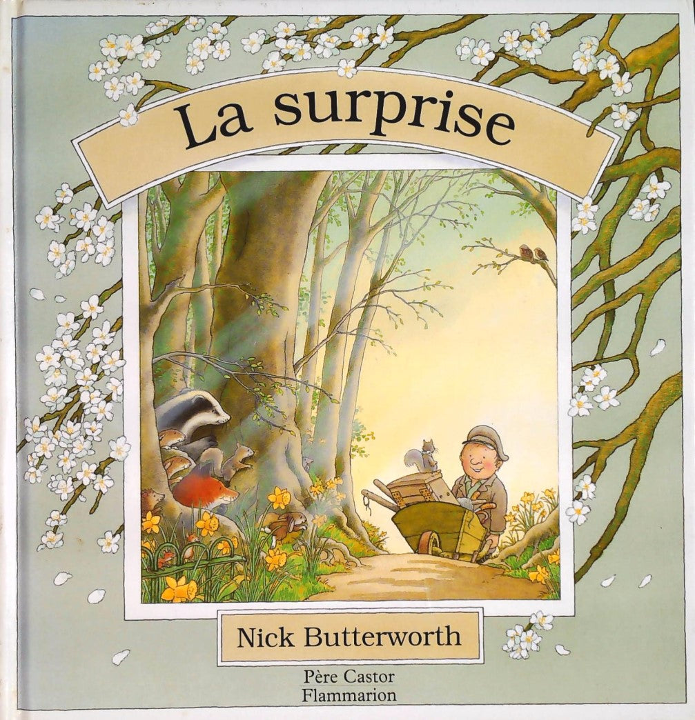 Livre La surprise - Nick Butterwort (Livre d'occasion) - ISBN 2081601451