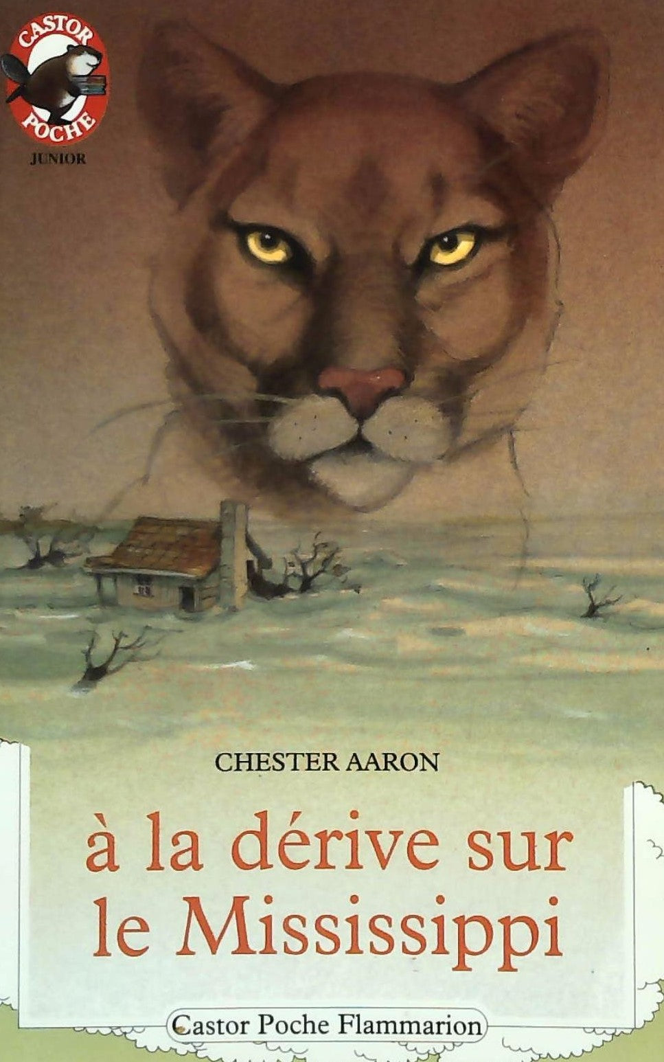 Livre À la dérive sur le Mississippi - Chester Aaron (Livre d'occasion) - ISBN 2081621886