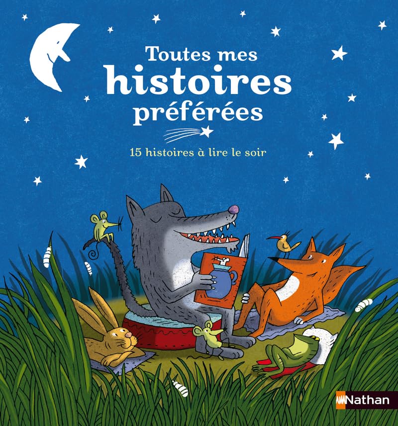 Livre Toutes mes histoires préférées : De belles histoires à lire le soir - Natha Caputo (Livre d...