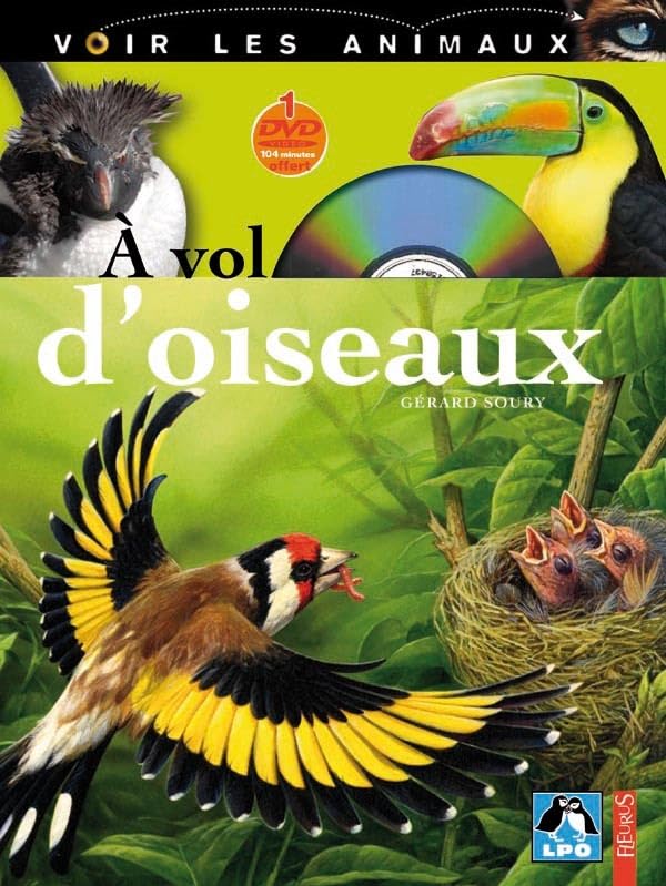 Livre À vol d'oiseau - Gérard Soury (Livre d'occasion) - ISBN 2215100257