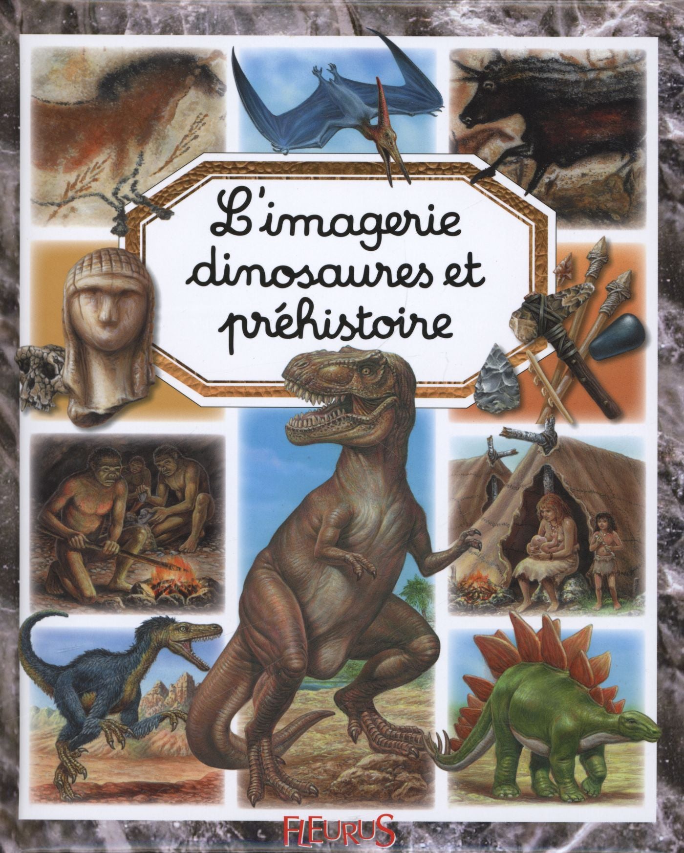 L'imagerie des dinosaures et de la préhistoire - Emilie Beaumont