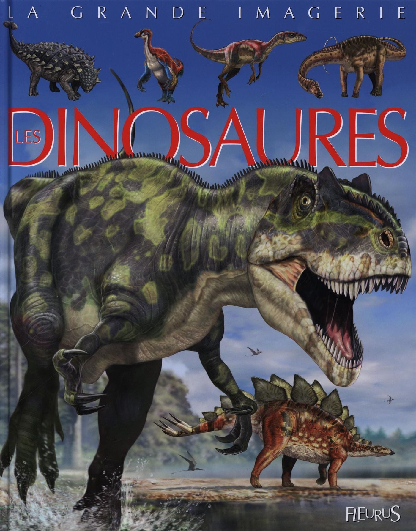 Livre Dinosaures (Livre neuf)