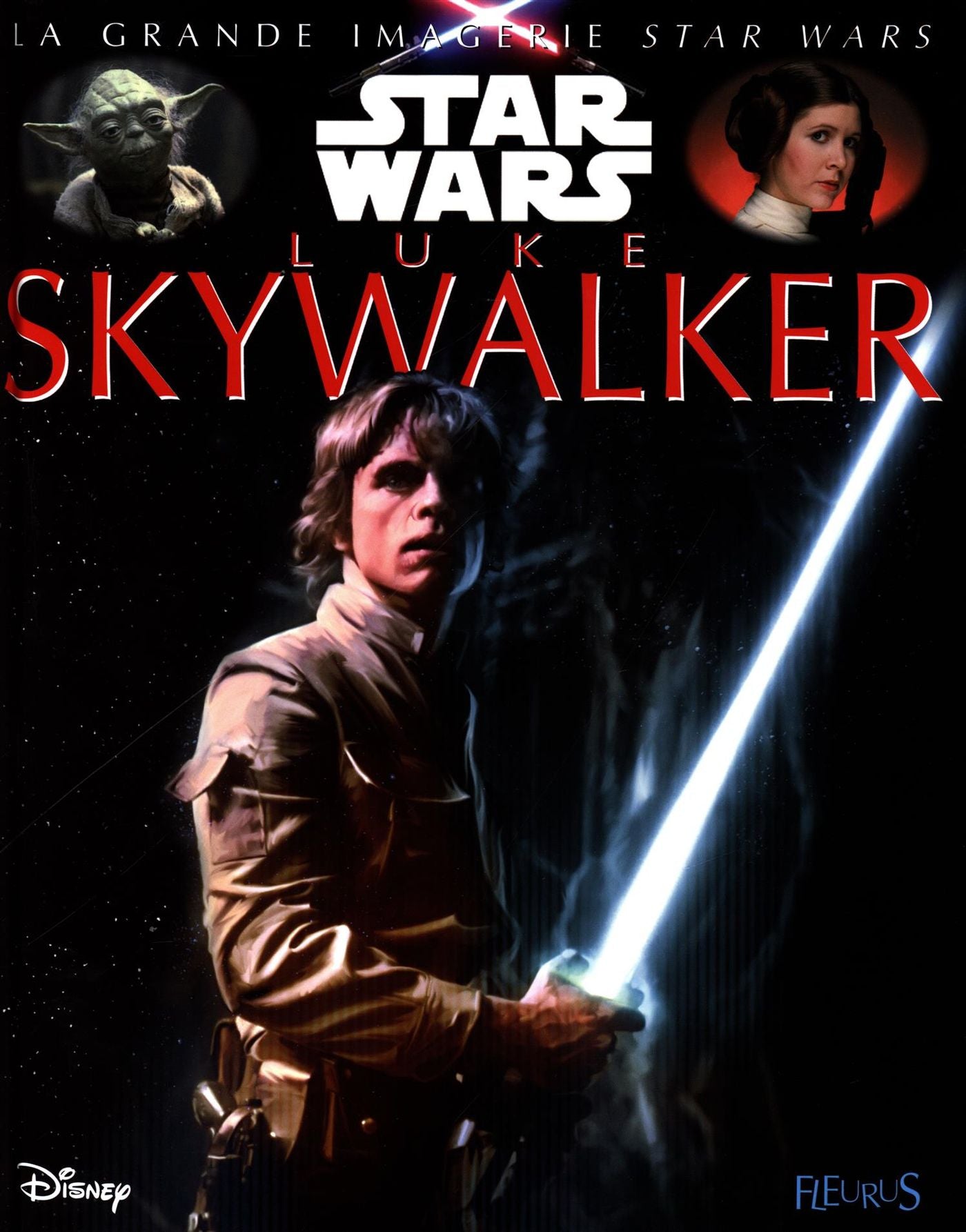 Livre Luke Skywalker - Disney (Livre d'occasion) - ISBN 2215144556