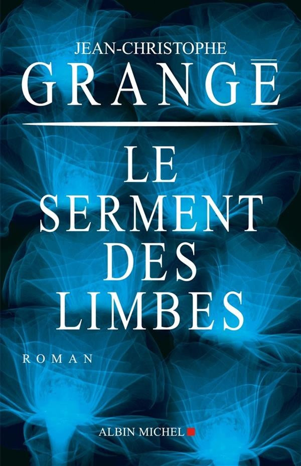 Livre Le serment des limbes - Jean-Christophe Grange (Livre d'occasion) - ISBN 222617673X