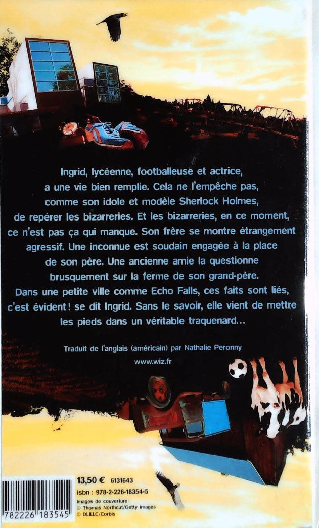 Livre La mystérieuse affaire d'Echo Falls - Peter Abrahams (Livre d'occasion)