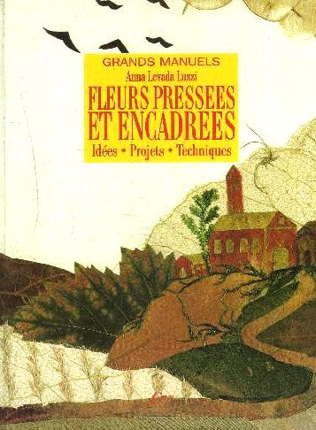 Fleurs pressées et encadrées - Anna Levada Luzzi