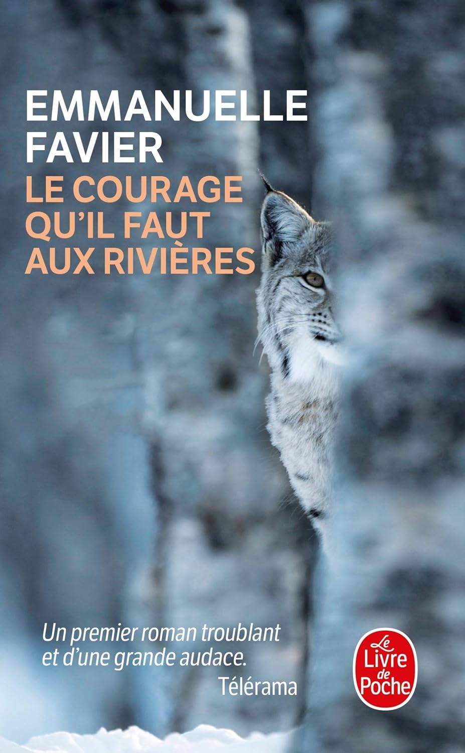 Livre Le courage qu'il faut aux rivières - Emmanuel Favier (Livre d'occasion)