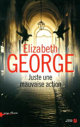 Livre Sang d'encre : Juste une mauvaise action (Elizabeth George) (Livre d'occasion) - ISBN...