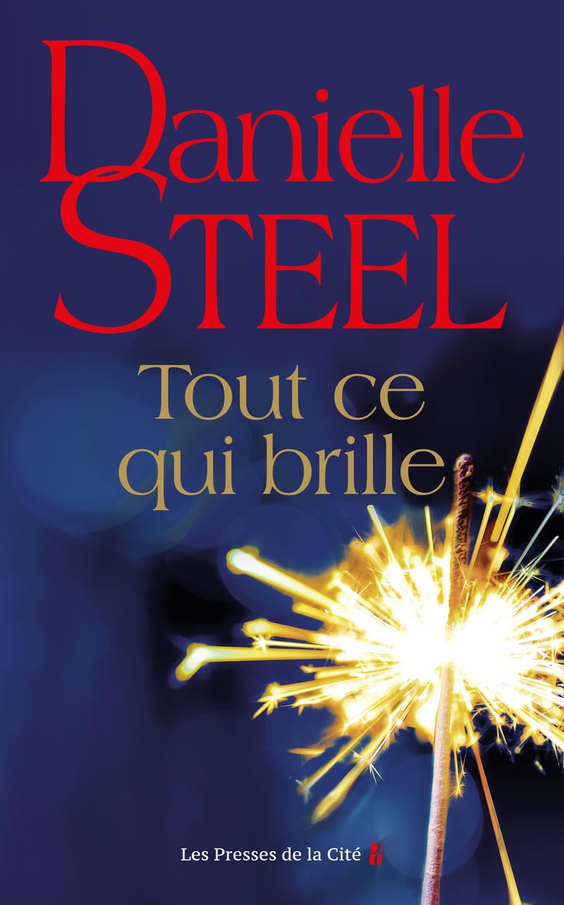 Livre Tout ce qui brille - Danielle Steel (Livre d'occasion) - ISBN 2258203503