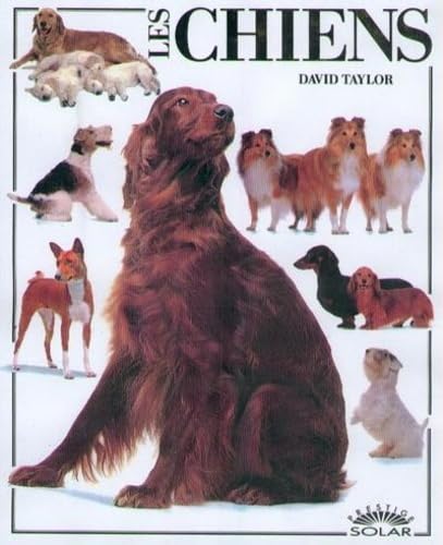 Livre Les chiens - David Taylor (Livre d'occasion) - ISBN 2263016325