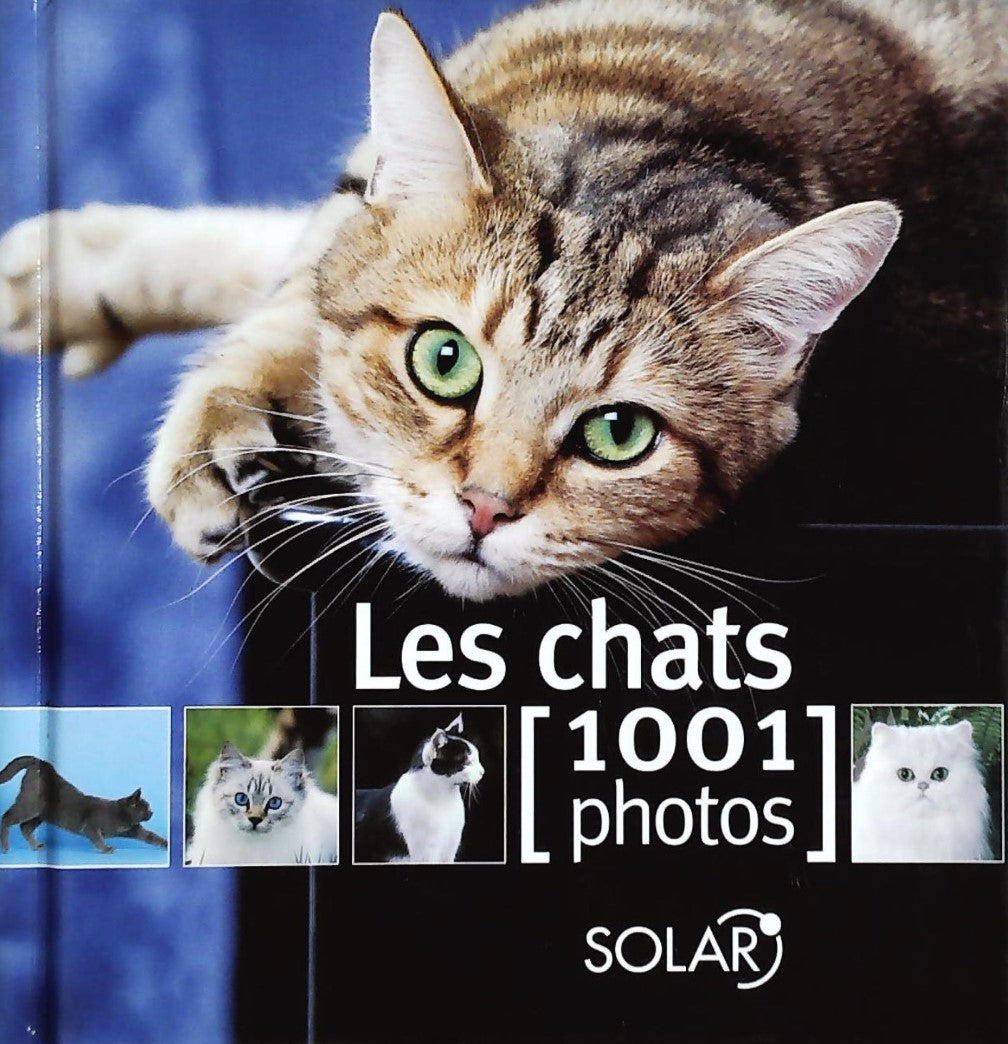 Livre Les chats : 1001 photos - Collectif (Livre d'occasion) - ISBN 226304213X